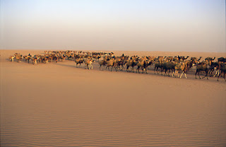 Elena Dak in marcia nel deserto con i Tuareg come un legionario romano