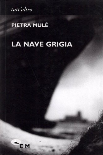 Nave grigia