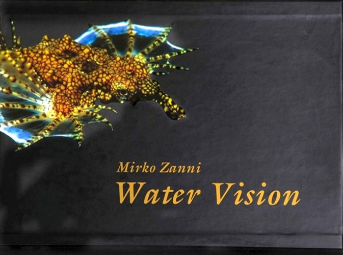 Water vision