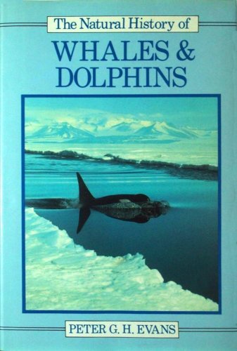 Natural history of whales & dolphins