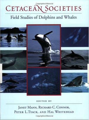 Cetacean societies