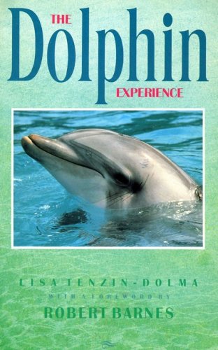 Dolphin experience