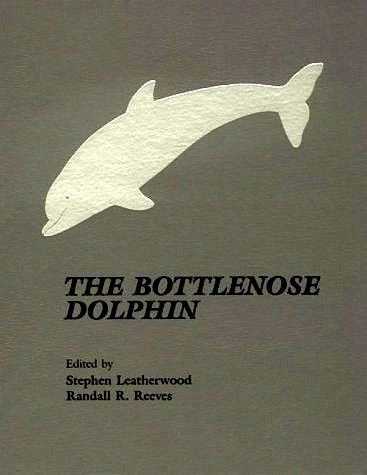 Bottlenose dolphin