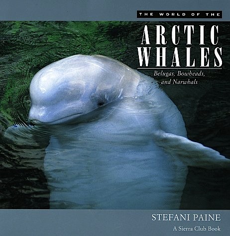 World of the artic whales