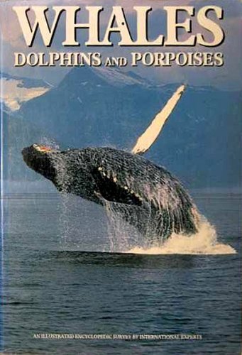 Whales, dolphins and porpoises