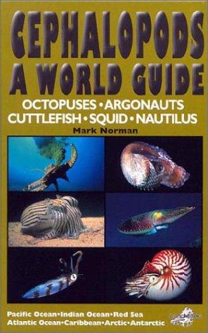 Cephalopods a world guide