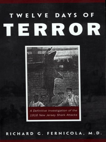 Twelve days of terror