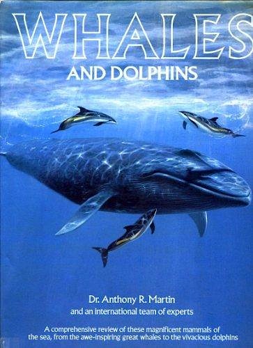 Whales and dolphins