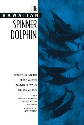 Hawaiian spinner dolphin