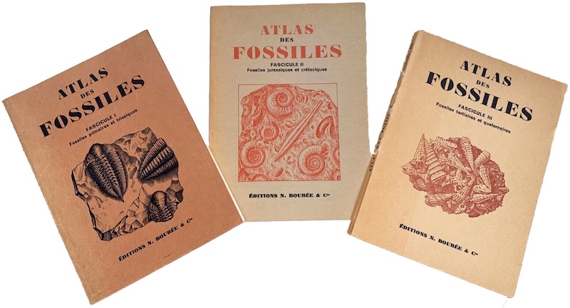 Atlas des fossiles