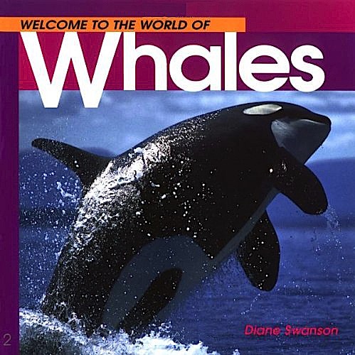 Welcome to the world of whales