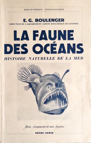 Faune des oceans