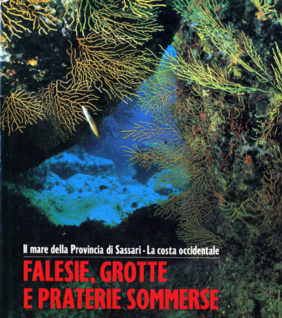 Falesie, grotte e praterie sommerse - il mare della