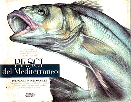 Pesci del Mediterraneo