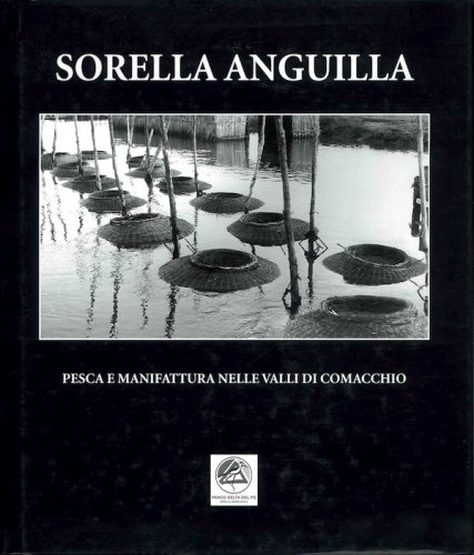 Sorella anguilla