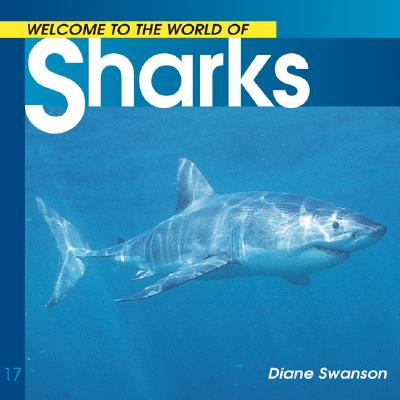 Welcome to the world of sharks