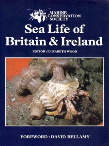 Sea life of Britain & Ireland