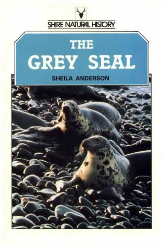 Grey seal