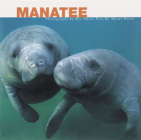 Manatee