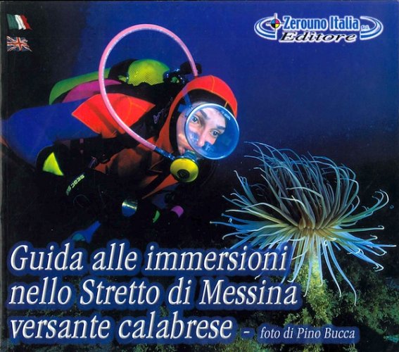 Guida alle immersioni nello Stretto di Messina versante calabrese