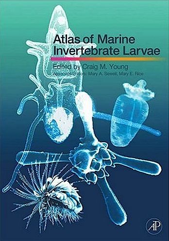 Atlas of marine invertebrate larvae