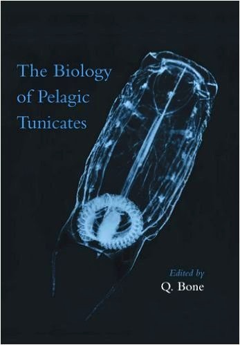 Biology of Pelagic Tunicates