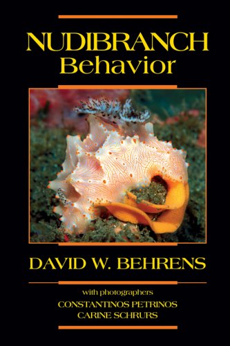 Nudibranch behavior