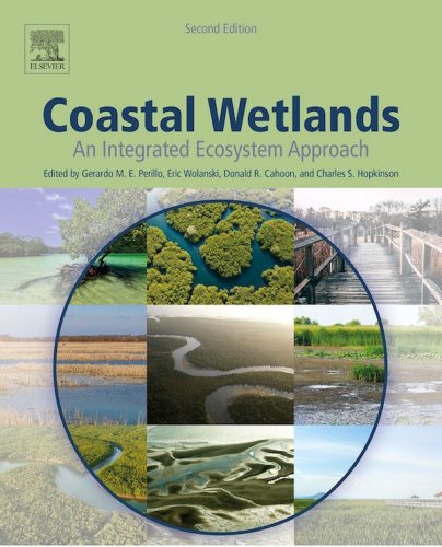 Coastal wetlands