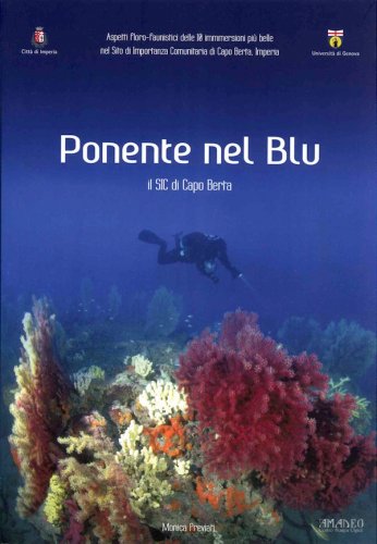 Ponente nel blu