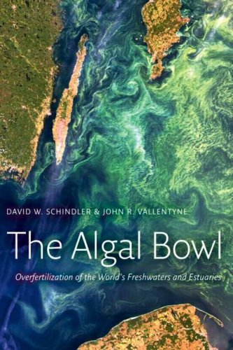 Algal bowl