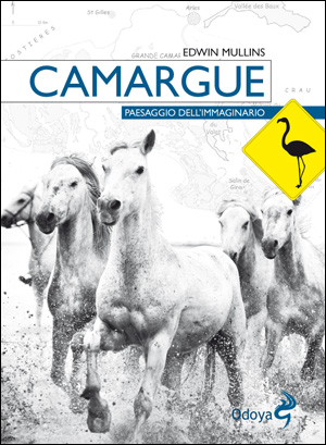 Camargue