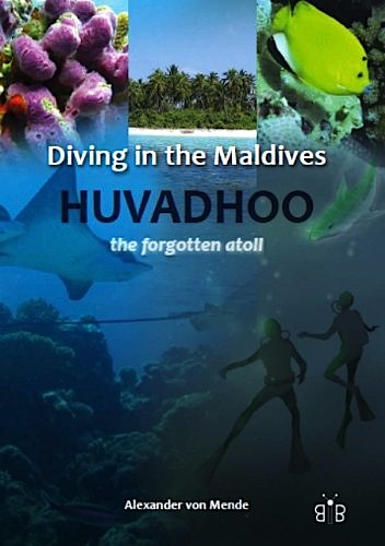 Diving in the Maldives: Huvadhoo