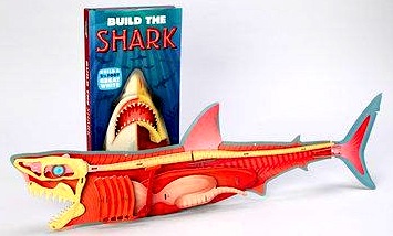Build the shark