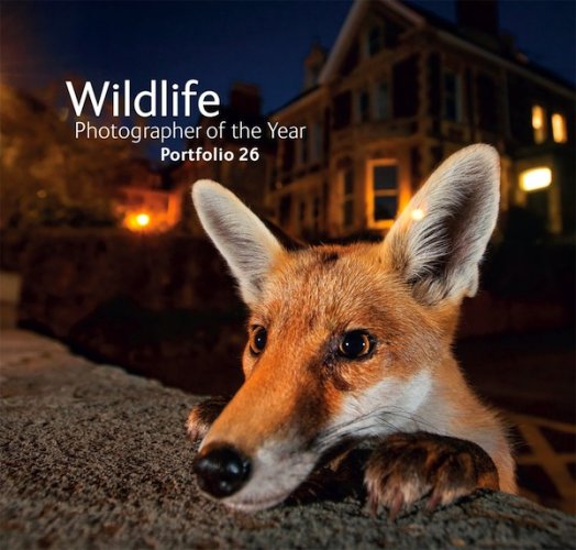 Wildlife photographer of the year - portfolio 26