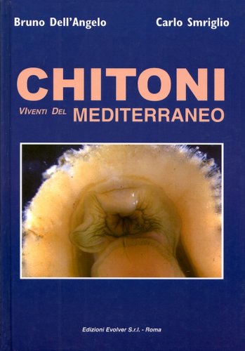 Chitoni viventi del Mediterraneo