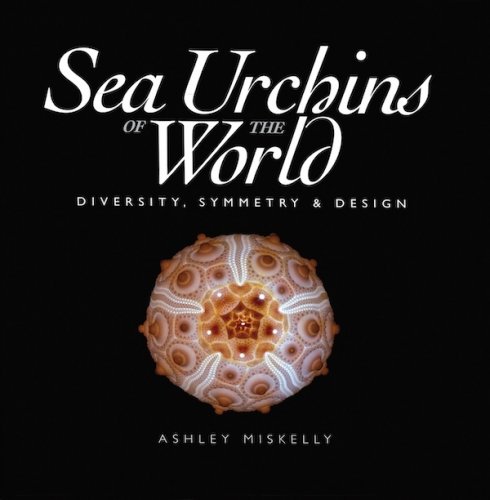 Sea urchins of the world