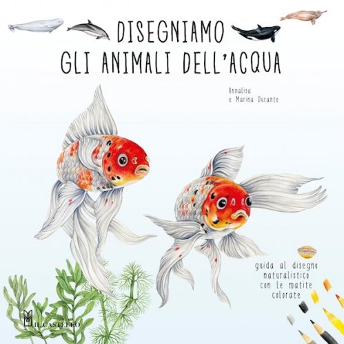 Disegniamo gli animali dell'acqua