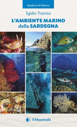 Ambiente marino della Sardegna