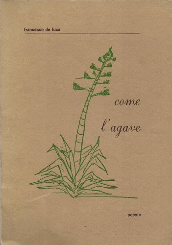 Come l'agave